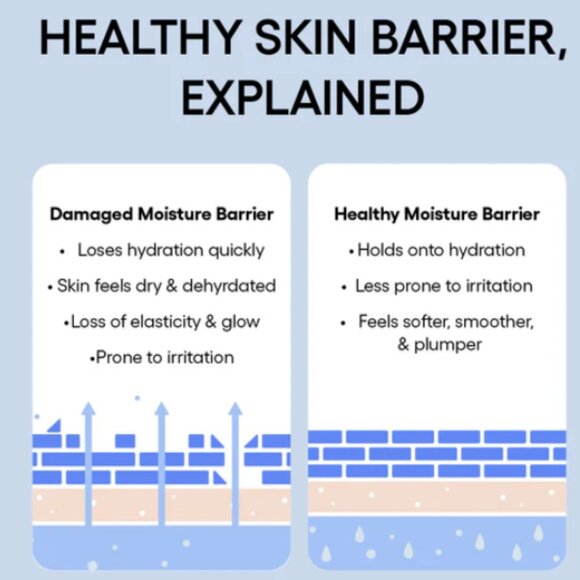 NIB Laneige Icons to Go Hydrate & Revitalize - Picture 4 of 13